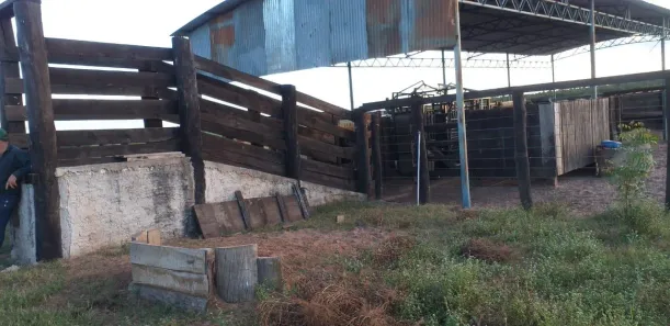 Fazenda / Sítio / Chácara à venda, 86757000m² no , Guaraí