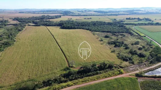 Fazenda / Sítio / Chácara à venda, 435600m² no Cruzeiro do Norte, Uraí