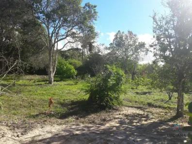 Fazenda / Sítio / Chácara com 1 Quarto à venda, 200m² no Alpes Suiços, Gravatá