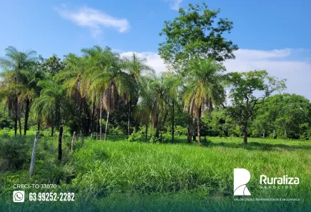 Fazenda / Sítio / Chácara à venda, 150m² no , Paraíso do Tocantins