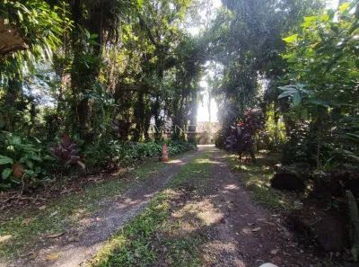 Fazenda / Sítio / Chácara com 3 Quartos à venda, 4982m² no Balneário Ipanema, Pontal do Paraná