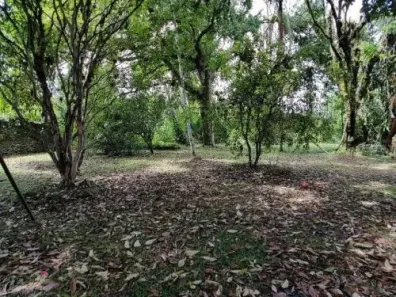 Fazenda / Sítio / Chácara com 3 Quartos à venda, 2160m² no Gaivota (Interior), Itanhaém