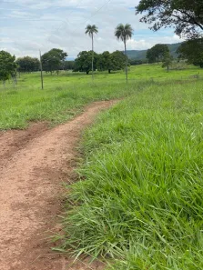 Fazenda / Sítio / Chácara com 1 Quarto à venda, 190000000m² no Bezerra, Formosa