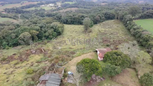 Fazenda / Sítio / Chácara à venda, 44875m² no Tindiquera, Araucária
