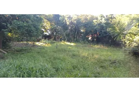 Fazenda / Sítio / Chácara à venda, 1922m² no Jardim Amélia, Pinhais