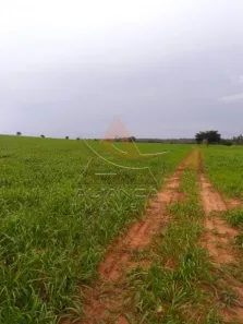 Fazenda / Sítio / Chácara com 6 Quartos à venda, 95287500m² no Guaraí, Guaraí
