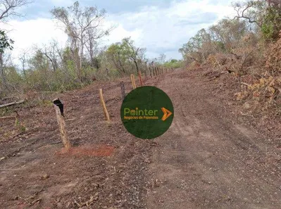 Fazenda / Sítio / Chácara à venda, 1360000m² no , Paranã