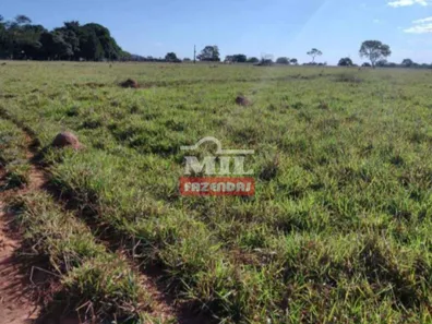 Fazenda / Sítio / Chácara à venda no Área Rural de Formosa, Formosa
