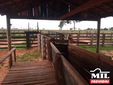 Fazenda / Sítio / Chácara à venda, 500m² no , Lagoa Santa