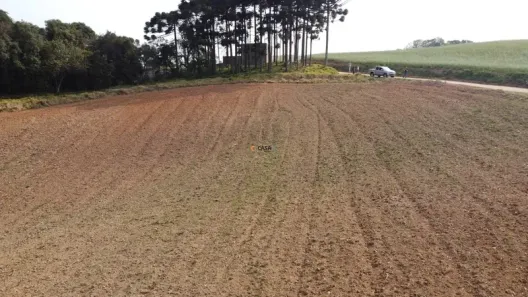 Fazenda / Sítio / Chácara com 1 Quarto à venda, 12312m² no Botiatuva, Campo Largo
