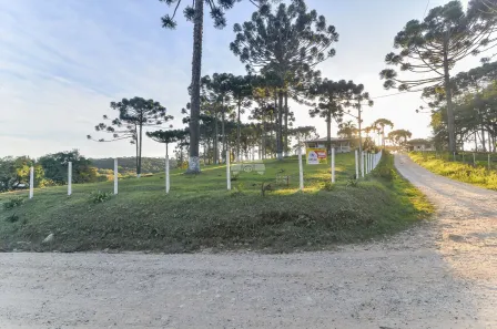 Fazenda / Sítio / Chácara com 3 Quartos à venda, 216m² no Palmeirinha, Campina Grande do Sul