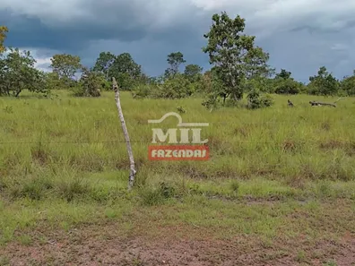 Fazenda / Sítio / Chácara à venda, 2444m² no , Santa Maria do Tocantins