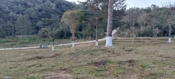 Fazenda / Sítio / Chácara com 3 Quartos à venda, 250m² no Rio Branco do Sul, Rio Branco do Sul