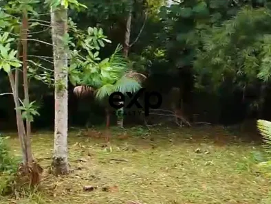 Terreno / Lote / Condomínio à venda, 3228m² no Chã da Tábua, São Lourenço da Mata