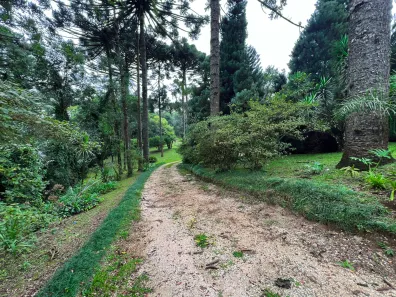 Fazenda / Sítio / Chácara à venda, 11141m² no Mato Dentro, Almirante Tamandaré