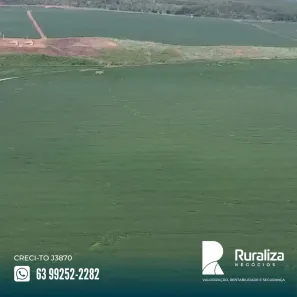 Fazenda / Sítio / Chácara à venda, 230m² no , Goiatins
