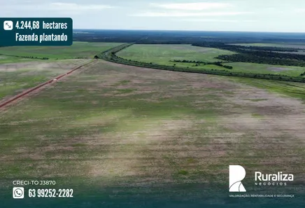 Fazenda / Sítio / Chácara à venda, 4244m² no , Pium