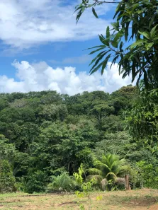 Fazenda / Sítio / Chácara com 4 Quartos à venda, 1156m² no Praia do Forte, Mata de São João