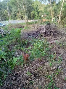Terreno / Lote / Condomínio à venda, 1502m² no Parque Rio Grande, Rio Grande da Serra