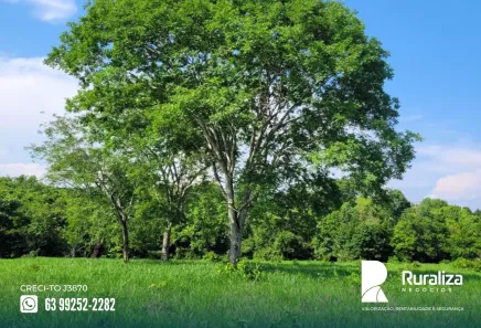 Fazenda / Sítio / Chácara à venda, 150m² no , Paraíso do Tocantins