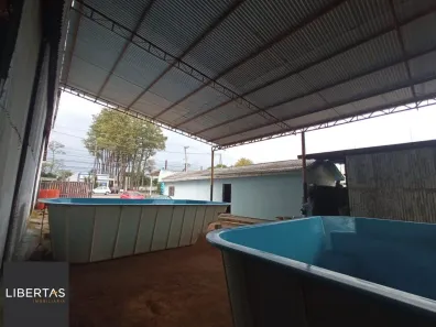 Galpão / Depósito / Armazém com 1 Quarto à venda, 60m² no Lageado, Porto Alegre