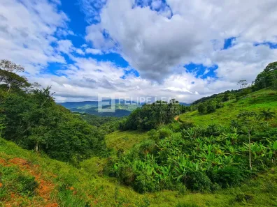 Fazenda / Sítio / Chácara à venda, 8000m² no , Águas Mornas