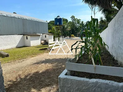 Fazenda / Sítio / Chácara com 4 Quartos à venda, 3600m² no Vale das Pedrinhas, Guapimirim