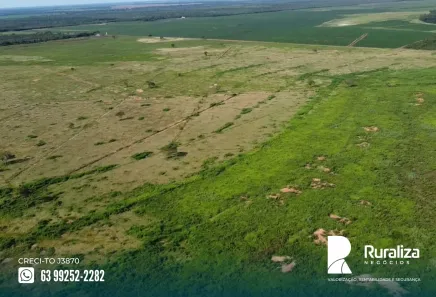 Fazenda / Sítio / Chácara à venda, 503m² no , Pium