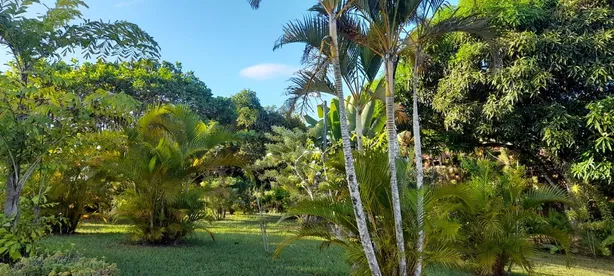 Casa com 3 Quartos à venda, 5700m² no Barra do Pojuca (Monte Gordo), Camaçari