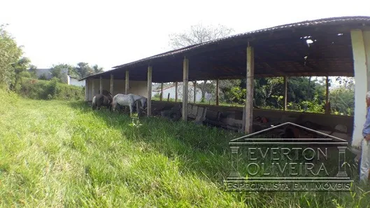Galpão / Depósito / Armazém para alugar, 500m² no Jardim Maria Amélia, Jacareí