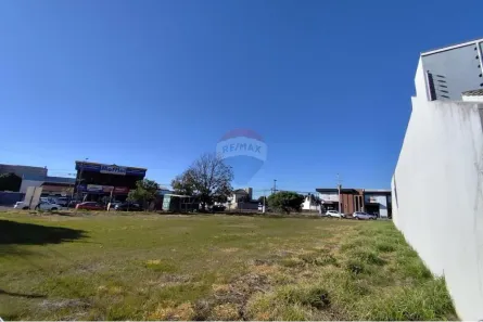 Loja / Salão / Ponto Comercial para alugar, 1606m² no Cascavel Velho, Cascavel