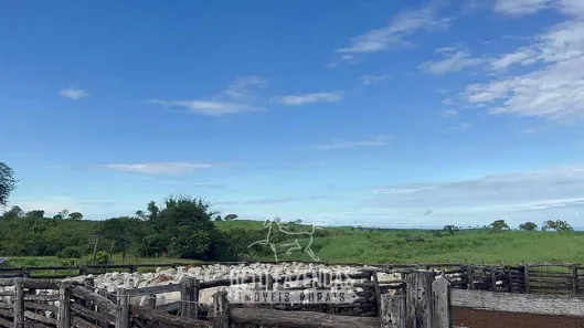 Fazenda / Sítio / Chácara à venda, 17230400m² no , Paranã
