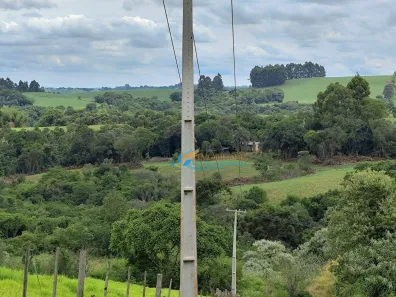 Fazenda / Sítio / Chácara à venda, 242000m² no , Guaraniaçu