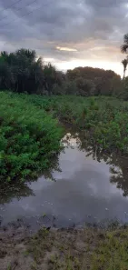 Fazenda / Sítio / Chácara à venda, 8228000m² no Presidente Kennedy, Presidente Kennedy
