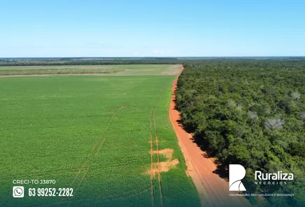 Fazenda / Sítio / Chácara à venda, 4244m² no , Pium