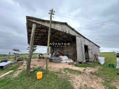 Fazenda / Sítio / Chácara com 3 Quartos à venda, 150m² no Juscelino Kubitschek, Santa Maria