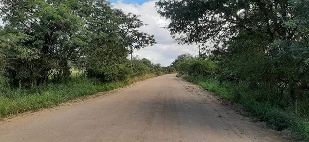 Fazenda / Sítio / Chácara com 3 Quartos à venda, 100m² no Alpes Suiços, Gravatá