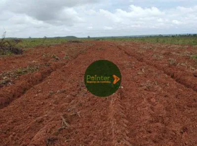 Fazenda / Sítio / Chácara à venda, 17151750m² no , Ponte Alta do Tocantins