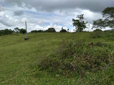 Fazenda / Sítio / Chácara com 2 Quartos à venda, 78408m² no Centro, Muritiba