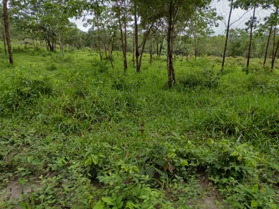 Terreno / Lote / Condomínio à venda, 20000m² no , Fortuna de Minas