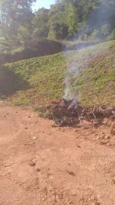 Fazenda / Sítio / Chácara com 1 Quarto à venda, 5000m² no Área Rural de Viçosa, Viçosa