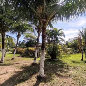 Terreno / Lote / Condomínio à venda, 150m² no Loteamento Bosque Ponta da Areia, Itaparica