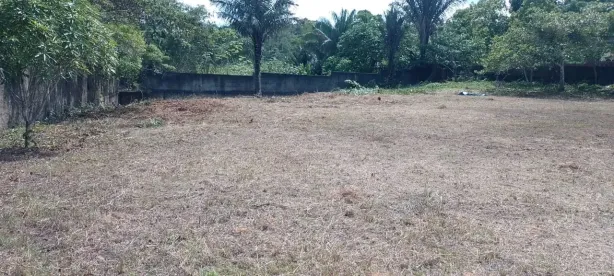 Terreno / Lote Comercial à venda, 2000m² no , Manaus