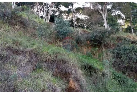 Terreno / Lote / Condomínio à venda, 417m² no Banquete, Bom Jardim