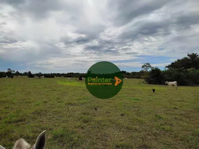 Fazenda / Sítio / Chácara à venda, 13552000m² no , Formoso do Araguaia