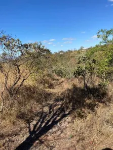 Fazenda / Sítio / Chácara com 3 Quartos à venda, 240m² no Núcleo Rural Lago Oeste, Brasília