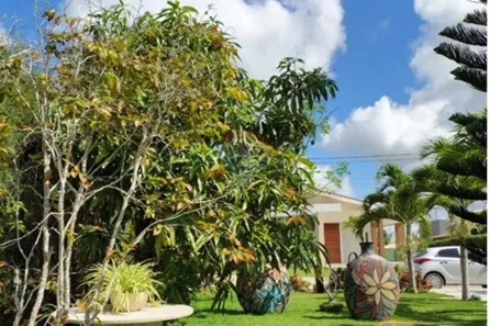 Fazenda / Sítio / Chácara com 6 Quartos à venda, 300m² no Prado, Gravatá