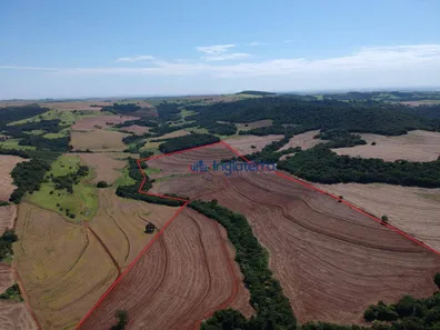 Fazenda / Sítio / Chácara à venda, 452540m² no , Sertanópolis