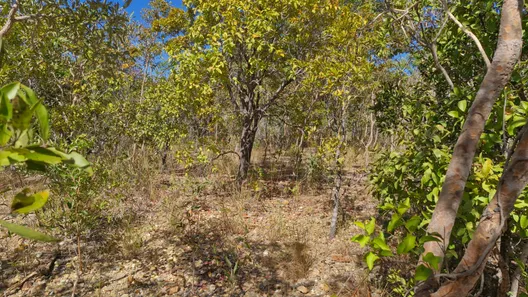 Fazenda / Sítio / Chácara à venda, 10933542m² no , Paranã