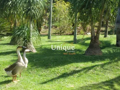 Fazenda / Sítio / Chácara com 1 Quarto à venda, 19580m² no Rasa, Armação dos Búzios